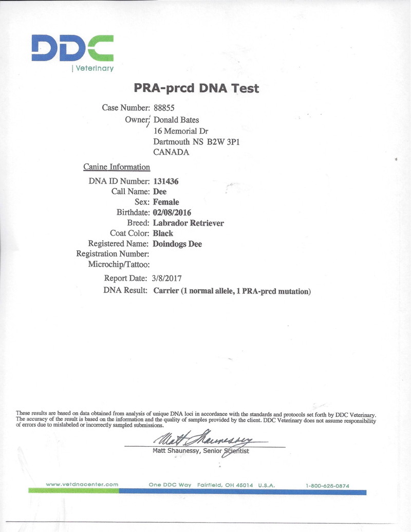 PRA-prcd DNA