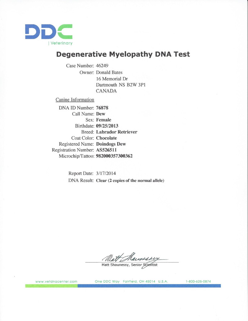 Dew's CM DNA Test