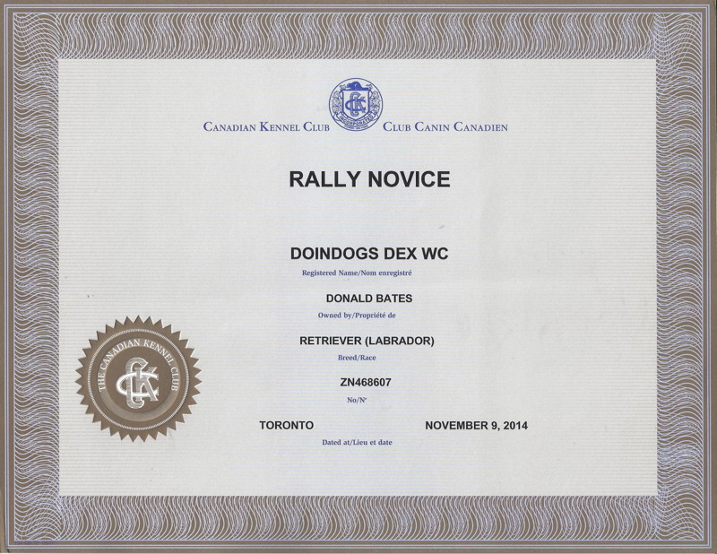 Dex's Rally Novice Certificate