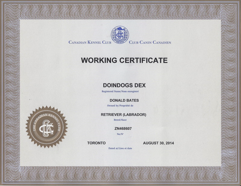 Dex's Working Certificate