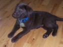 Reese_101_3437.JPG
