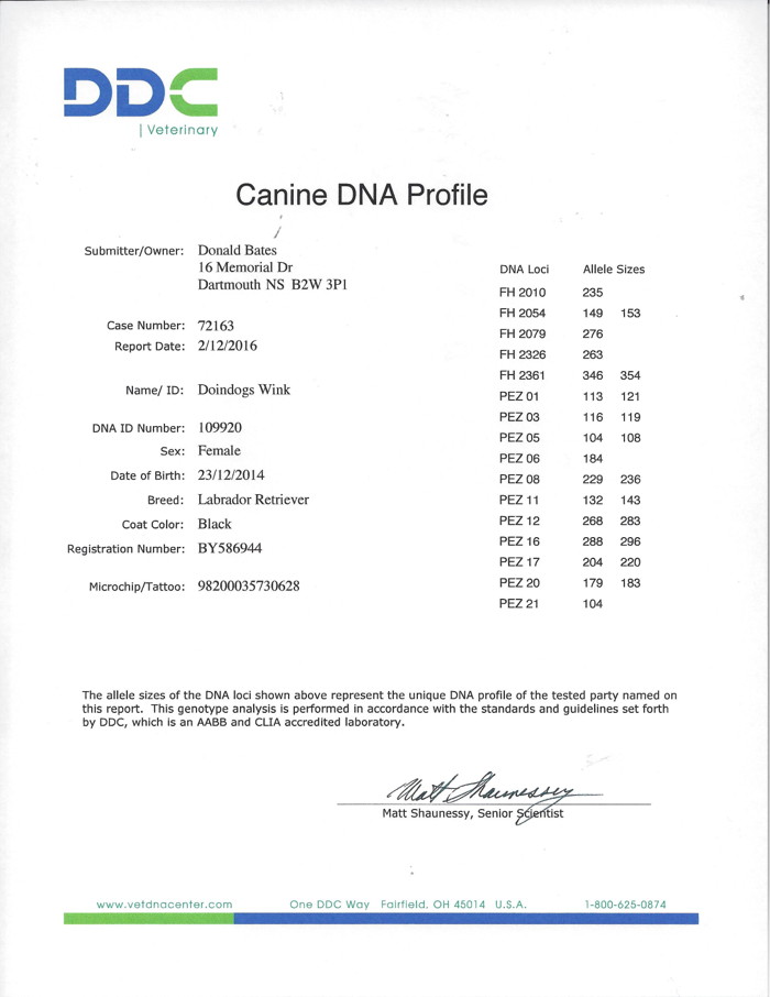 Wink's DNA profile